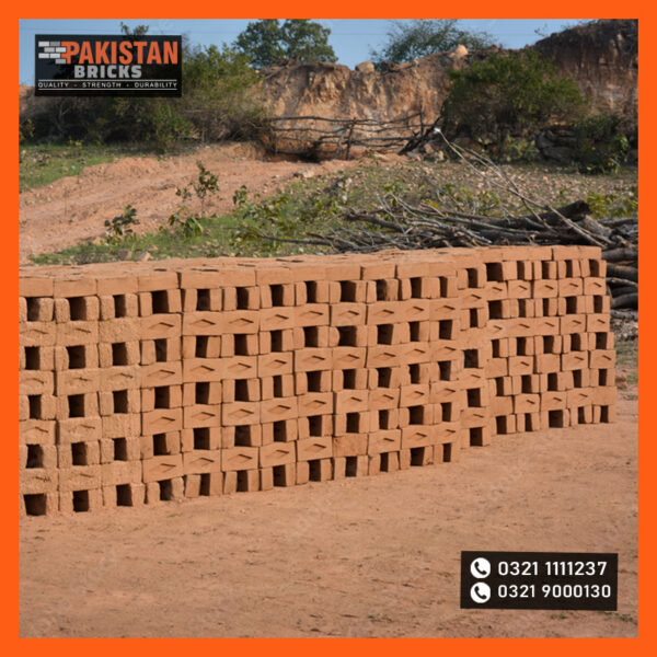 Clay Bricks Pakistan Bricks